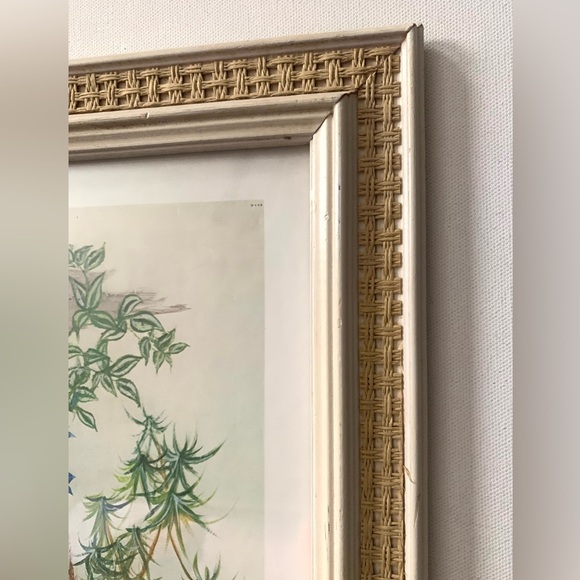 VTG 70s Nel Cary Cane Framed Art Matted Botanical Cottage Core Art Deco Boho MCM - Picture 3 of 8